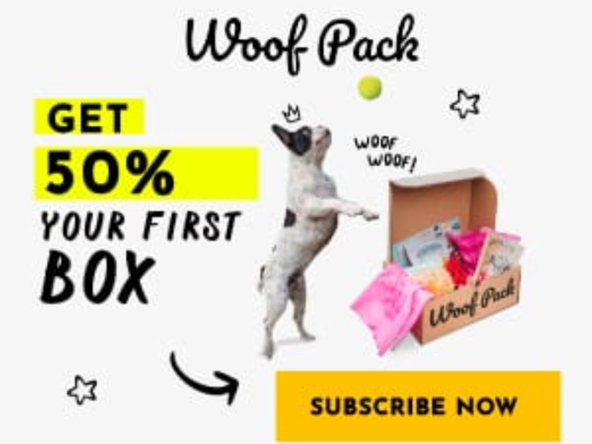 Canadian dog subscription box best sale