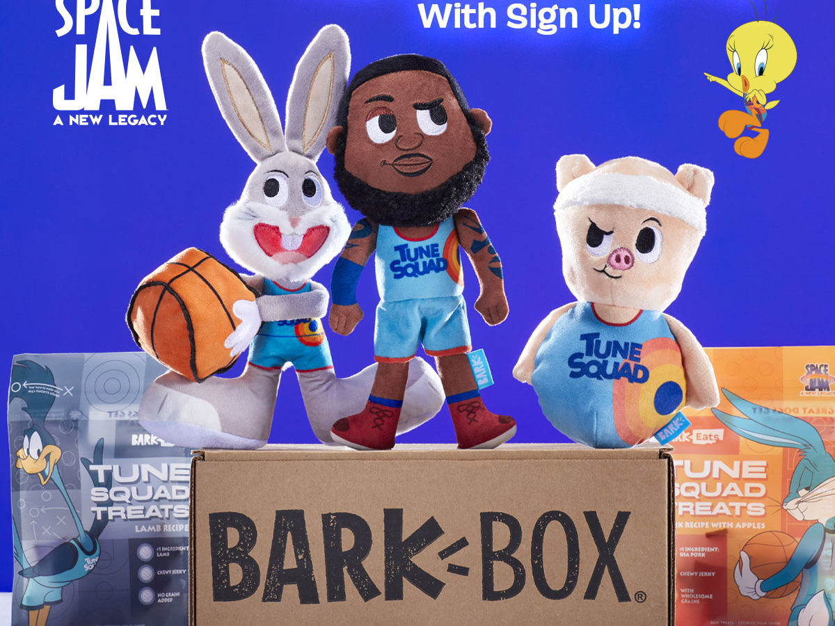 lebron james bark box toy