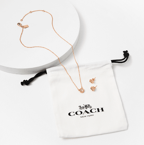 coach necklace and earring set fabfitfun