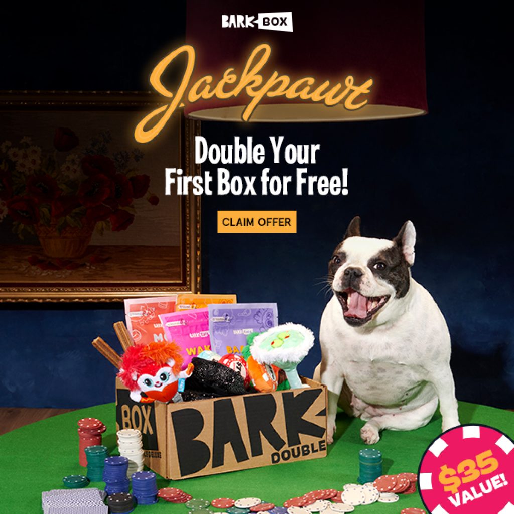 BARKBOX Jackpawt Las Vegas LOT of 3 Dog Toys, 2 Treat bags and 1 Chew